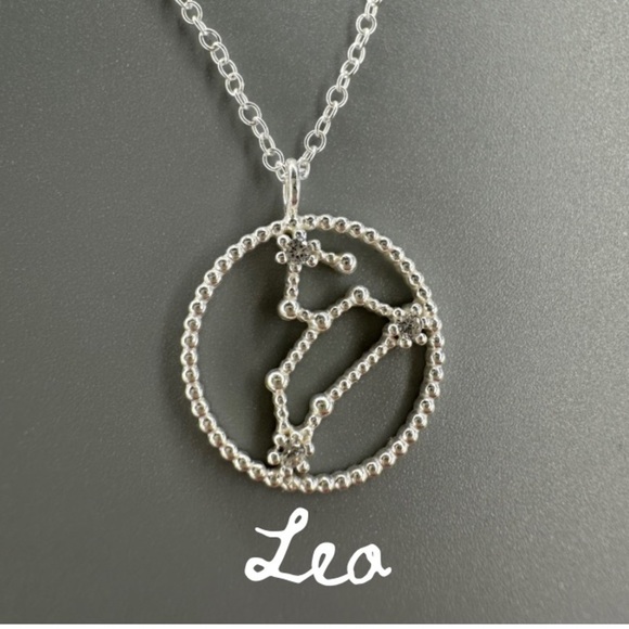 Sterling Silver Zodiac Constellation Necklaces - Picture 12 of 17